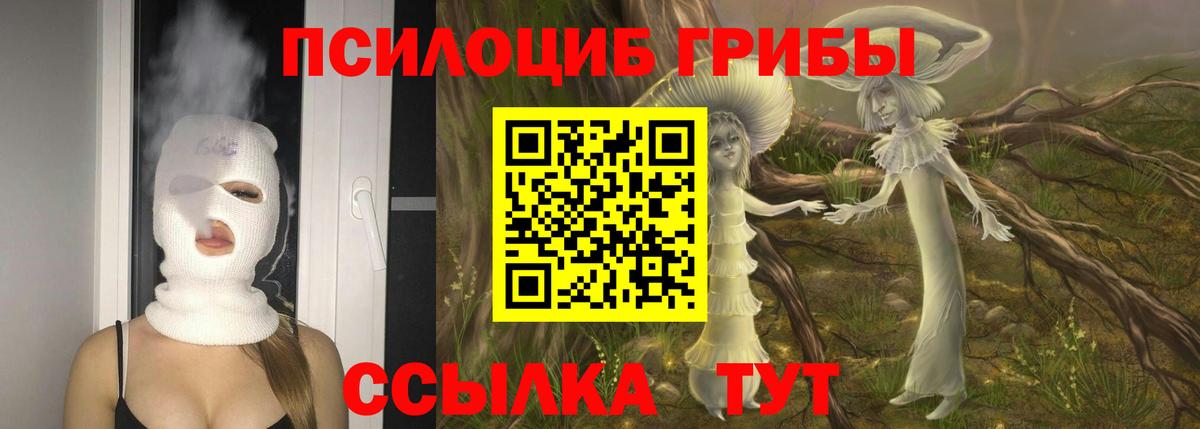 Галлюциногенные грибы Psilocybe  Вход с VPN  как найти закладки  Елабуга 
